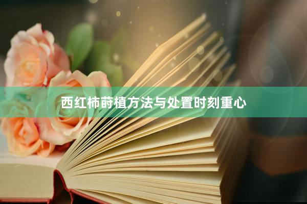 西红柿莳植方法与处置时刻重心
