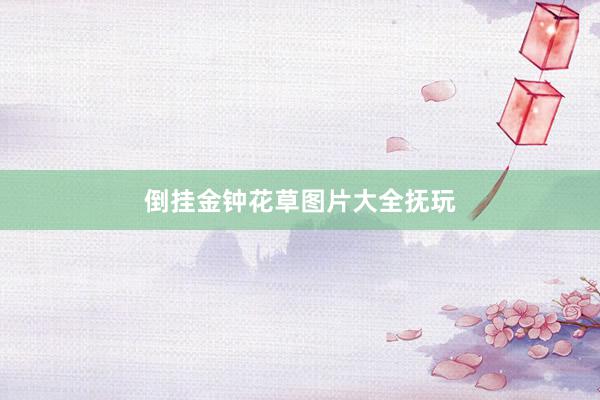 倒挂金钟花草图片大全抚玩