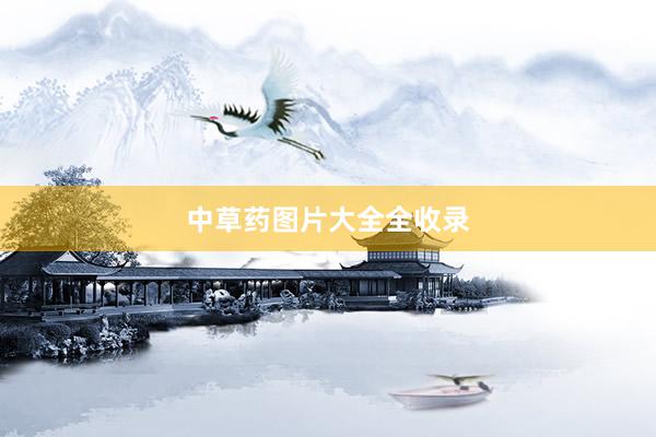 中草药图片大全全收录