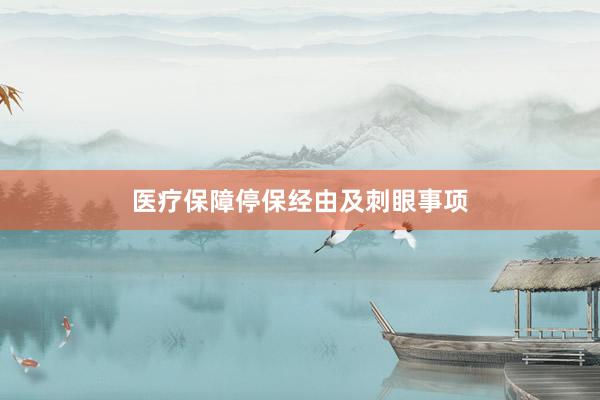 医疗保障停保经由及刺眼事项