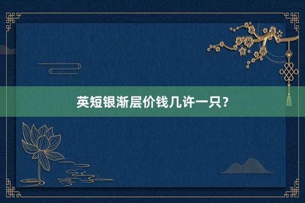 英短银渐层价钱几许一只？